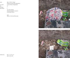 Michalis Pichler, stars & stripes / new york garbage flag profile 2 (Frankfurt: Revolver, Contemporary Art Publishing, 2005).