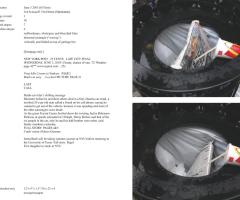 Michalis Pichler, stars & stripes / new york garbage flag profile 2 (Frankfurt: Revolver, Contemporary Art Publishing, 2005).