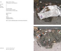 Michalis Pichler, stars & stripes / new york garbage flag profile 2 (Frankfurt: Revolver, Contemporary Art Publishing, 2005).
