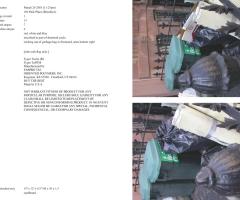 Michalis Pichler, stars & stripes / new york garbage flag profile 2 (Frankfurt: Revolver, Contemporary Art Publishing, 2005).