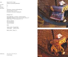 Michalis Pichler, stars & stripes / new york garbage flag profile 2 (Frankfurt: Revolver, Contemporary Art Publishing, 2005).