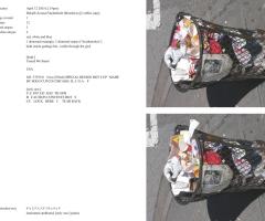 Michalis Pichler, stars & stripes / new york garbage flag profile 2 (Frankfurt: Revolver, Contemporary Art Publishing, 2005).
