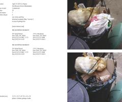 Michalis Pichler, stars & stripes / new york garbage flag profile 2 (Frankfurt: Revolver, Contemporary Art Publishing, 2005).