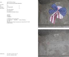 Michalis Pichler, stars & stripes / new york garbage flag profile 2 (Frankfurt: Revolver, Contemporary Art Publishing, 2005).