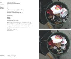 Michalis Pichler, stars & stripes / new york garbage flag profile 2 (Frankfurt: Revolver, Contemporary Art Publishing, 2005).