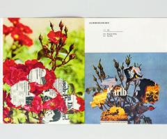 Michalis Pichler, FLORIBUNDAROSEN (Leipzig: Lubok Verlag, 2014).