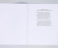 Michalis Pichler, 1111 RISOGRAPHED SONNETS, STAPLED, NUMBERED AND SOLD IN CHUNKS OF 11 (Paris: ed. Christophe Daviet-Thery, 2013).