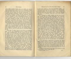 Nauman Walter, Mallarmé’s Un coup de Dés jamais n’abolira le Hasard (Erlangen: Verlag Junge & Sohn, 1938).