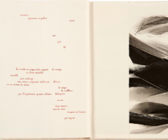 Mallarmé Stéphane,  Un coup de dés jamais n'abolira le hasard (Paris: Aux Amateurs du Livre, 1989).