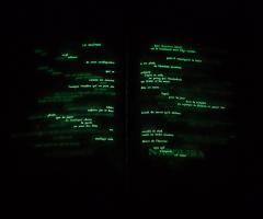 Pichler Michalis, Un Coup De Dés Jamais N’abolira Le Hasard – Constellation (, 2009).
