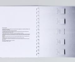 Michalis Pichler, JANUARY 5–31, 2012 (Berlin: ”greatest hits”, 2012).