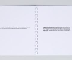 Michalis Pichler, JANUARY 5–31, 2012 (Berlin: ”greatest hits”, 2012).