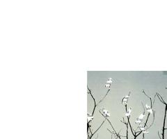 Migration #31 2018